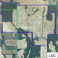 Upland hill farm 298 acres Lawrence County, IL with timber and crop fields