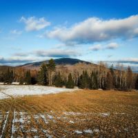 1650 Sims Hill Road - Lemington images 2