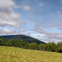 1650 Sims Hill Road - Lemington images 3
