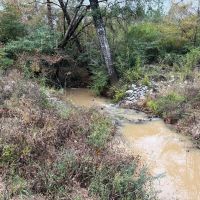 Fantastic Homesite Recreational Hunting Tract in SW MS