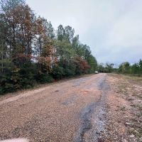 Fantastic Homesite Recreational Hunting Tract in SW MS images 2