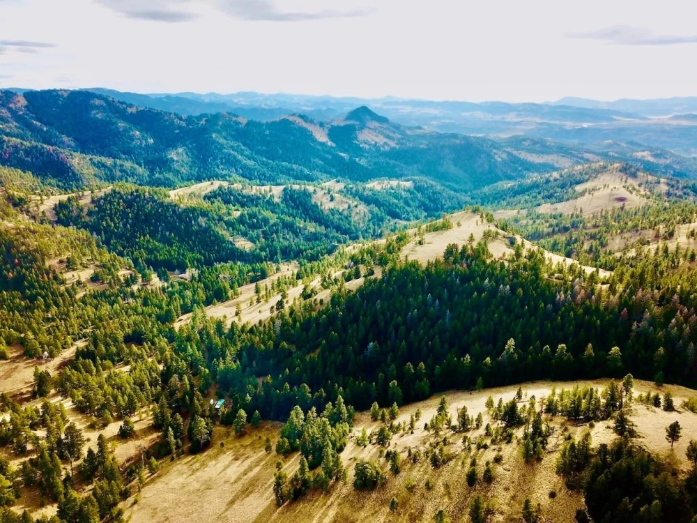 Cascading Views on Camp Lane featured image