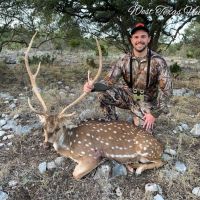 Whitetail & Exotic Hunts