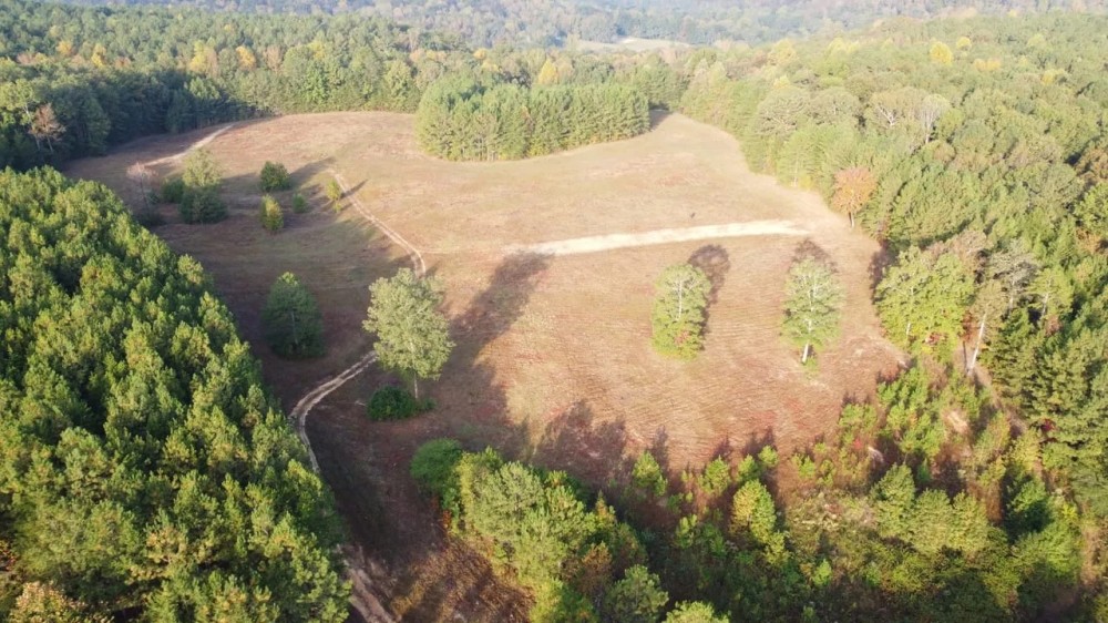 87 ac With Four Houses in Walker Co. AL featured image