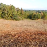 87 ac With Four Houses in Walker Co. AL images 3