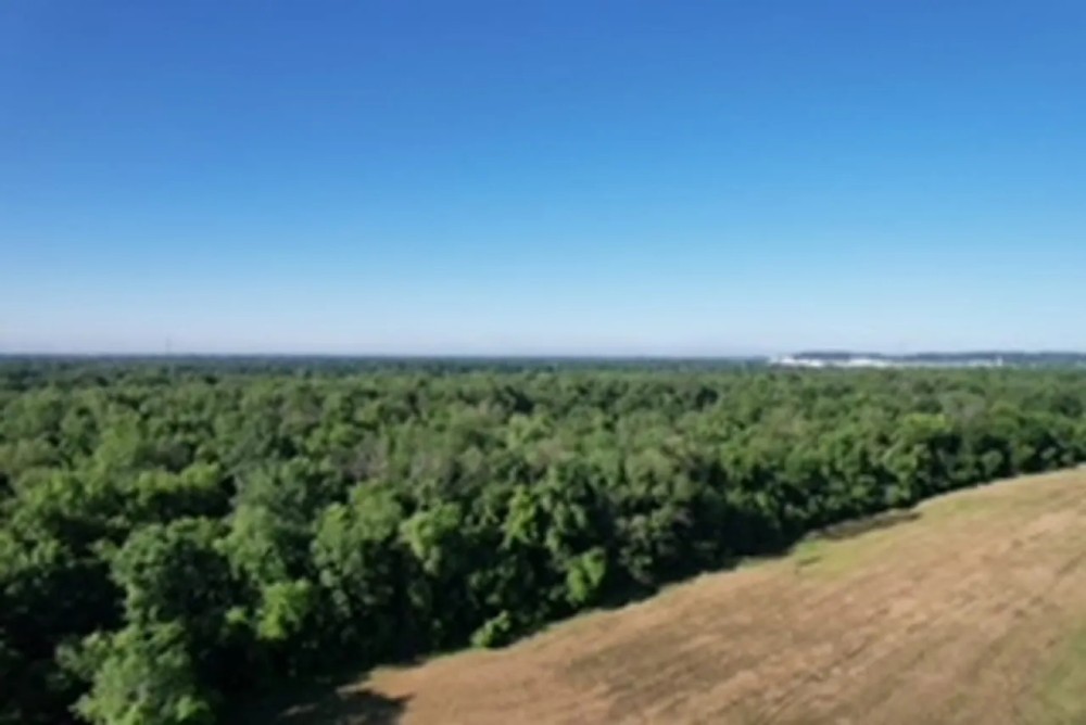 Land For Sale in Spencer County IN 80 Acres - South Tract featured image
