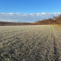 Land For Sale in Spencer County IN 80 Acres - South Tract images 5