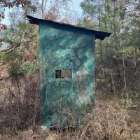 40 Acres Hunting Tract with Mixed Hardwood Located in LaSalle Parish images 5