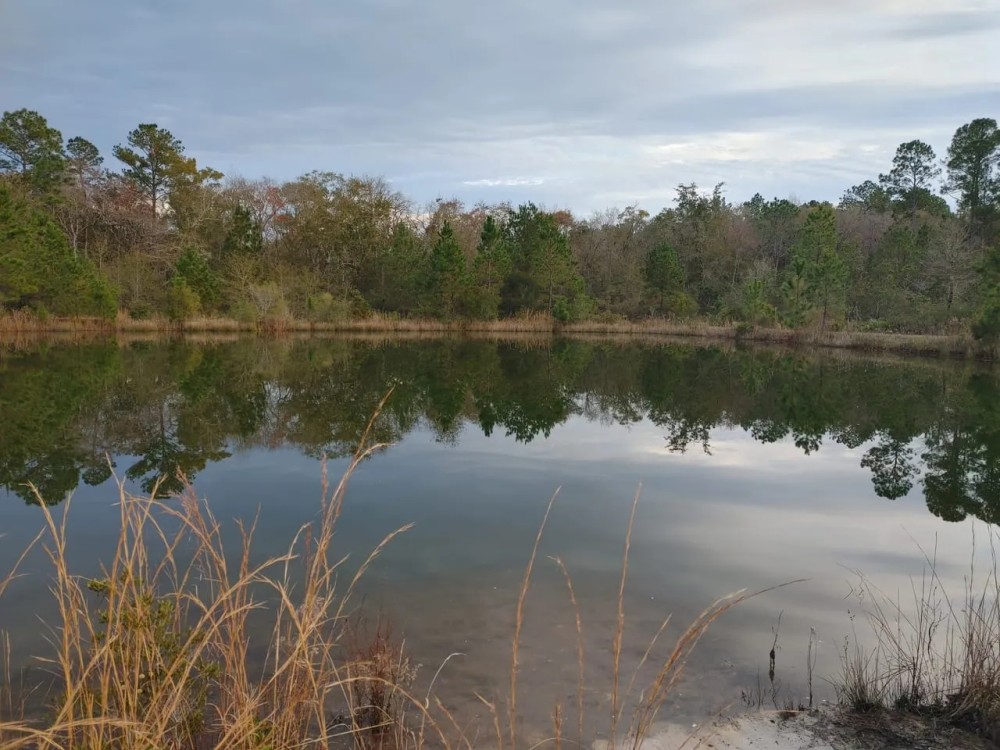 10 Acres in Camden County GA featured image