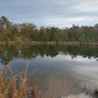 10 Acres in Camden County GA