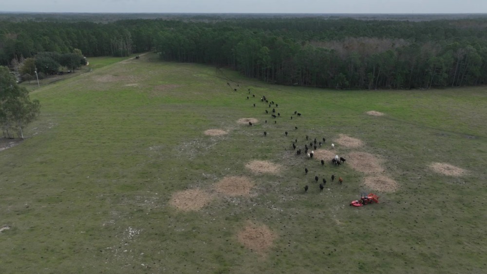 South Lake County Ranch and Hunting Tract featured image
