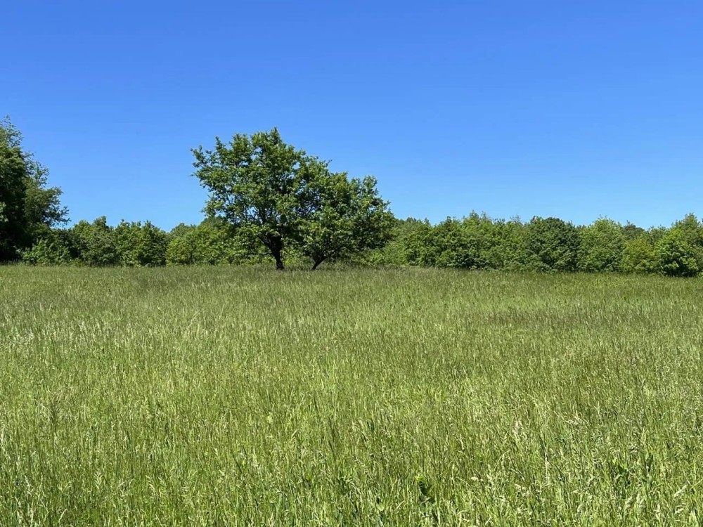 Leapline Blvd. Fayette County - 104 acres featured image