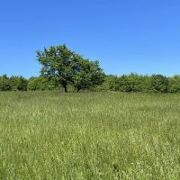 Leapline Blvd. Fayette County - 104 acres