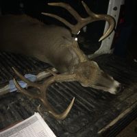 4800 Acres South Texas Ranch