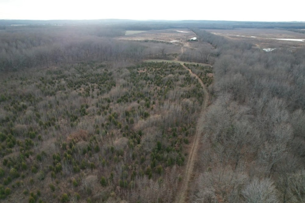 000 Tuller Road Stonefort IL featured image