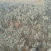 000 Tuller Road Stonefort IL images 2
