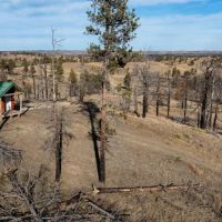 Red s Bluff