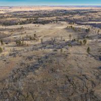 Red s Bluff images 2