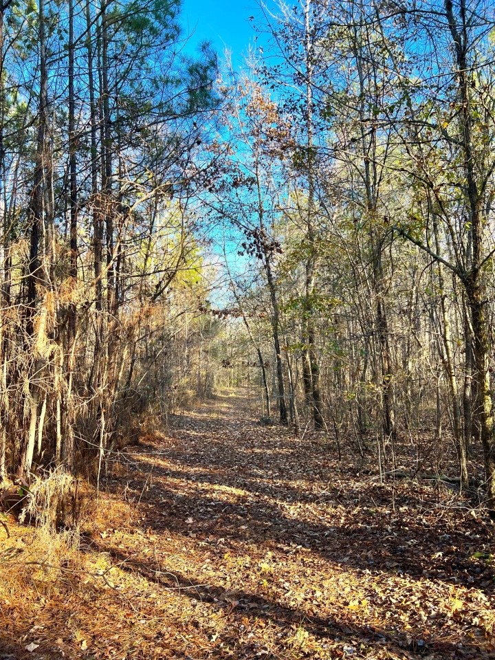 29-115-weoka-farm-18-tract-6 featured image