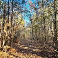 29-115-weoka-farm-18-tract-6