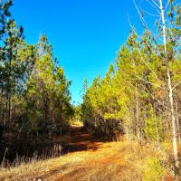 29-115-weoka-farm-18-tract-6 images 2