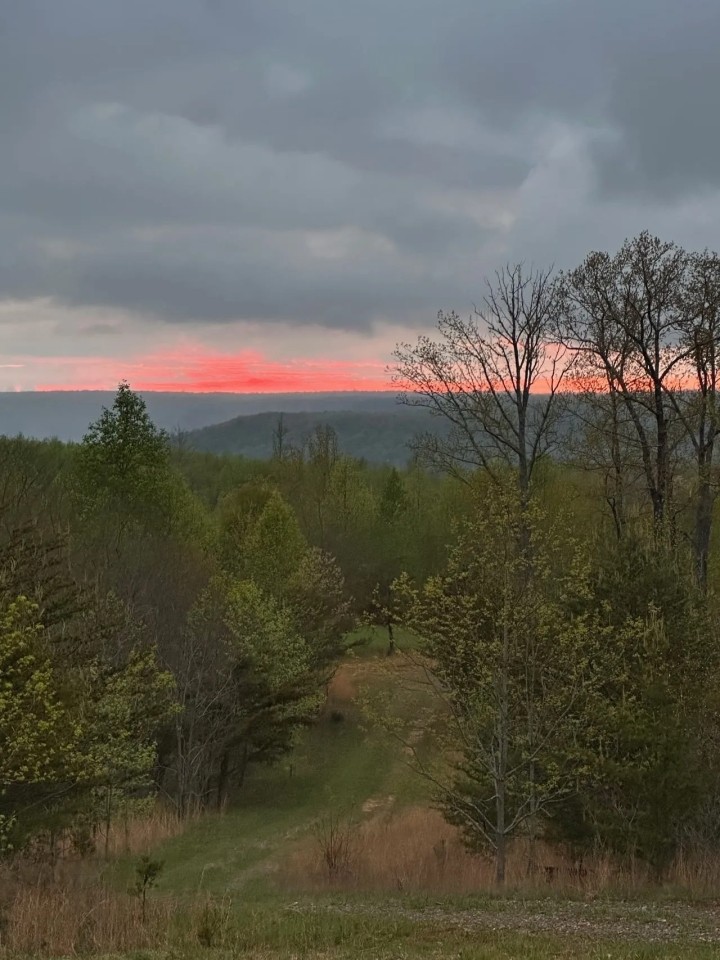 100 -acres Prime Deer Hunting With Hunting Cabin featured image