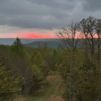 100 -acres Prime Deer Hunting With Hunting Cabin