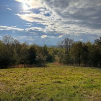 100 -acres Prime Deer Hunting With Hunting Cabin images 2
