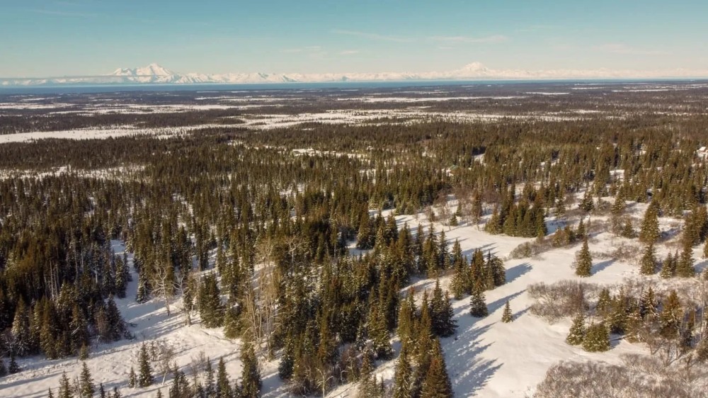 Off-Grid Alaskan Paradise 20 Acres with Ocean and Mountain Views in Anchor Point. featured image