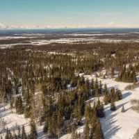 Off-Grid Alaskan Paradise 20 Acres with Ocean and Mountain Views in Anchor Point.