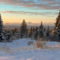 Off-Grid Alaskan Paradise 20 Acres with Ocean and Mountain Views in Anchor Point. images 5