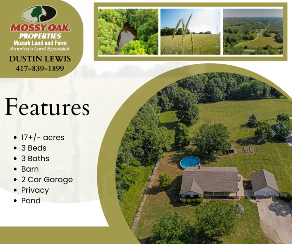 Country Beauty featured image