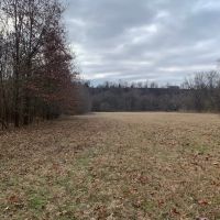 91 - East Cadron Creek Pasture Timberland images 3