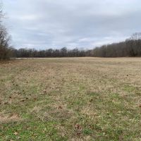 91 - East Cadron Creek Pasture Timberland images 4