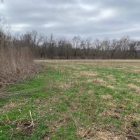 91 - East Cadron Creek Pasture Timberland images 5