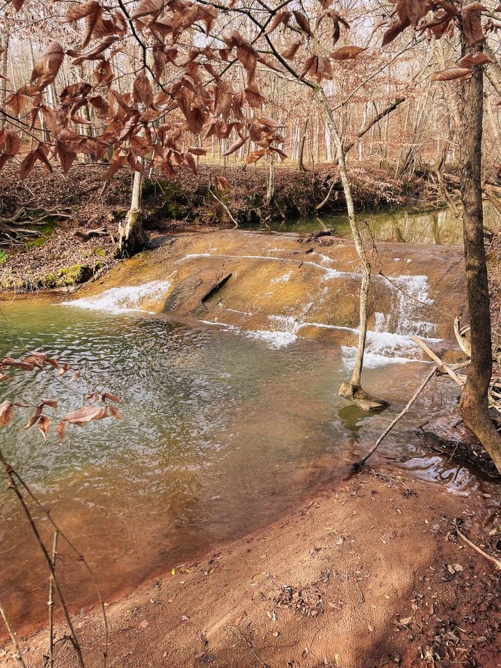 95 Acres in Monroe County Georgia featured image