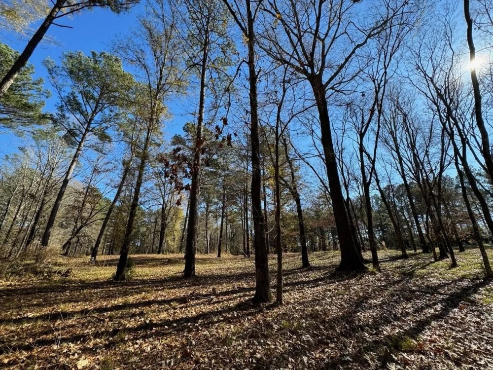 7 Acre Homesite Barganier Road featured image