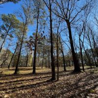 7 Acre Homesite Barganier Road