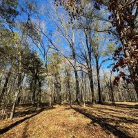 7 Acre Homesite Barganier Road images 2