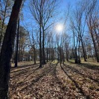 7 Acre Homesite Barganier Road images 3