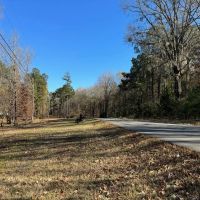 7 Acre Homesite Barganier Road images 4