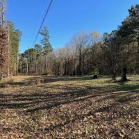 7 Acre Homesite Barganier Road images 5