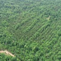 Little Camp Creek - Parcel A