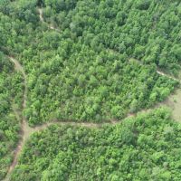 Little Camp Creek - Parcel A images 3