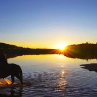 Grand Mesa Ranch images 3