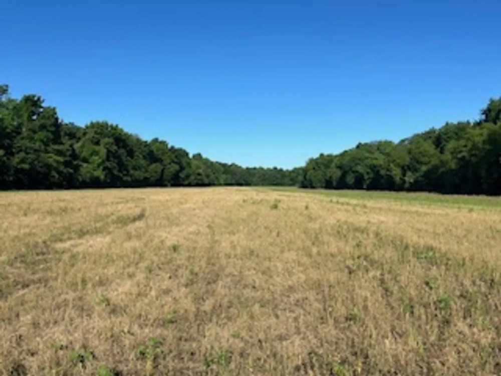 Land For Sale in Spencer County IN 80 Acres - North Tract featured image