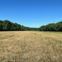 Land For Sale in Spencer County IN 80 Acres - North Tract