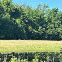 Land For Sale in Spencer County IN 80 Acres - North Tract images 2