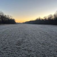 Land For Sale in Spencer County IN 80 Acres - North Tract images 3
