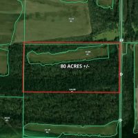 Land For Sale in Spencer County IN 80 Acres - North Tract images 5
